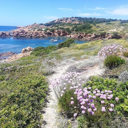 B&B La Tasgia Aggius Bagian luar foto