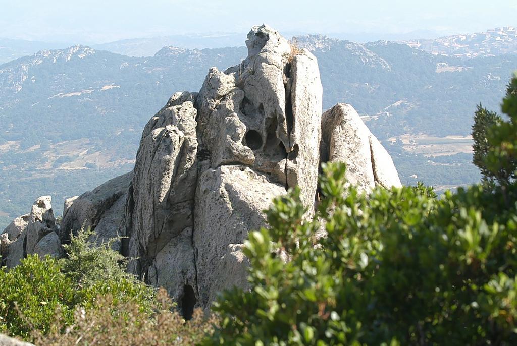 B&B La Tasgia Aggius Bagian luar foto