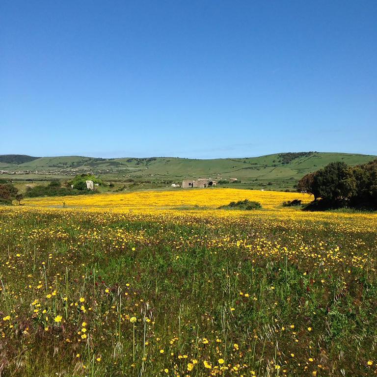 B&B La Tasgia Aggius Bagian luar foto
