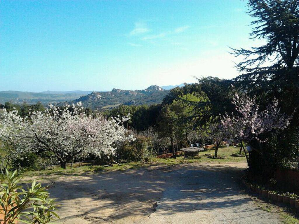B&B La Tasgia Aggius Bagian luar foto