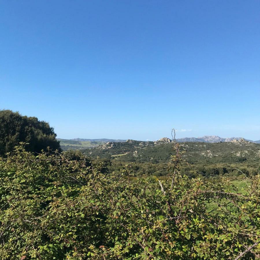 B&B La Tasgia Aggius Bagian luar foto
