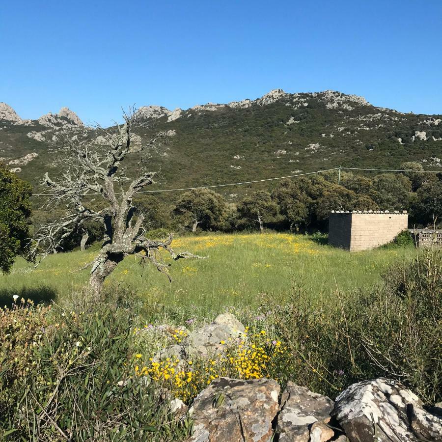 B&B La Tasgia Aggius Bagian luar foto