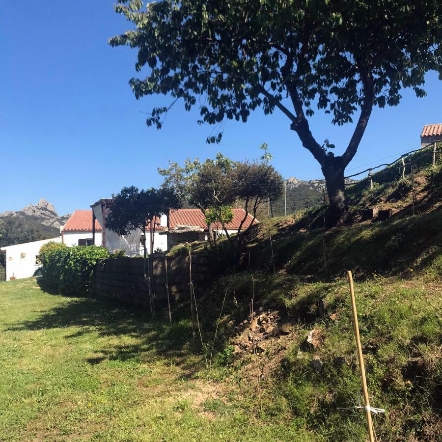 B&B La Tasgia Aggius Bagian luar foto