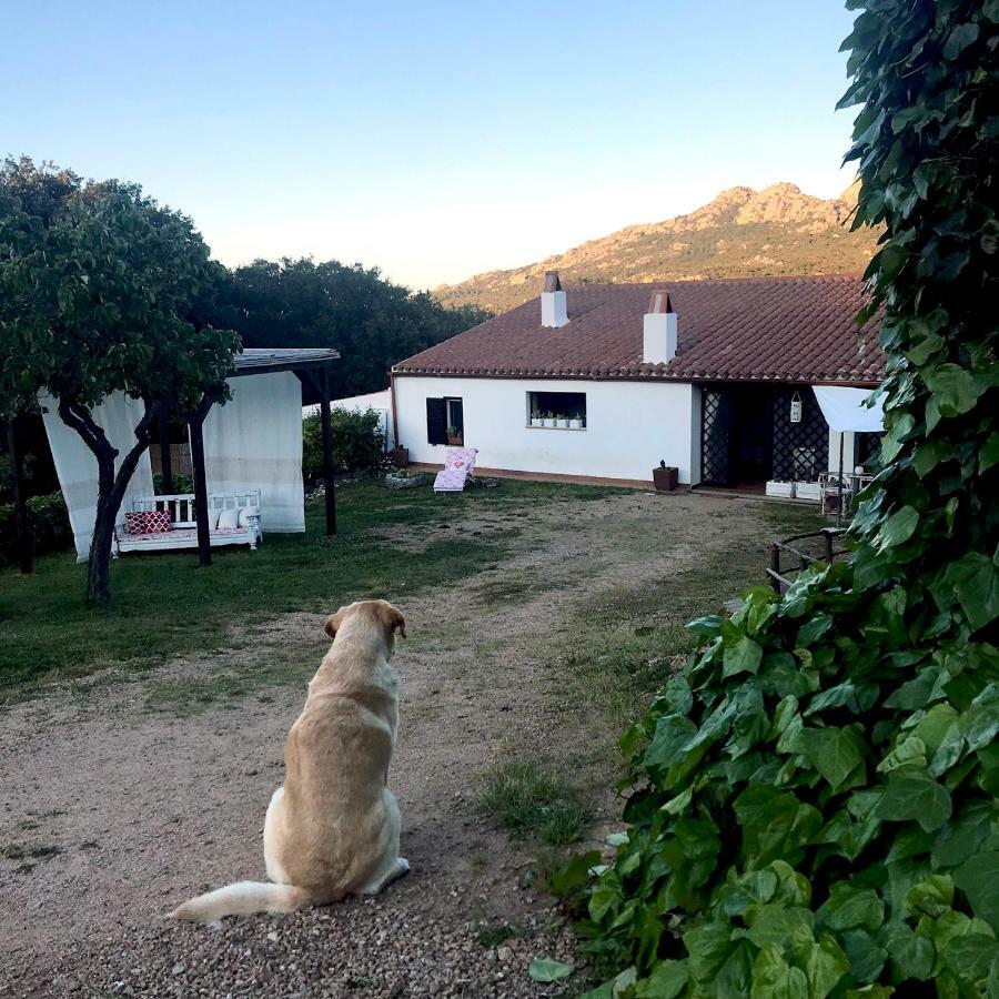 B&B La Tasgia Aggius Bagian luar foto
