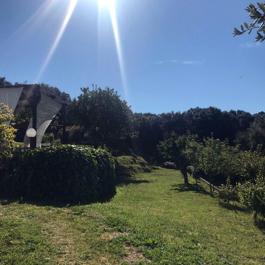 B&B La Tasgia Aggius Bagian luar foto