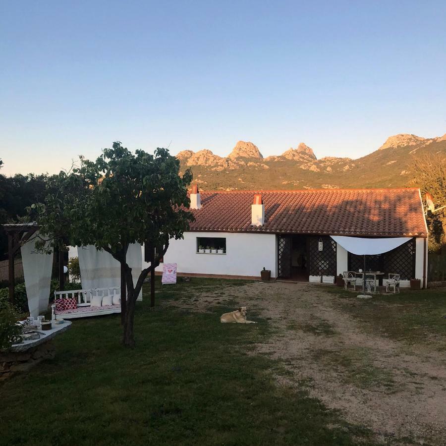 B&B La Tasgia Aggius Bagian luar foto