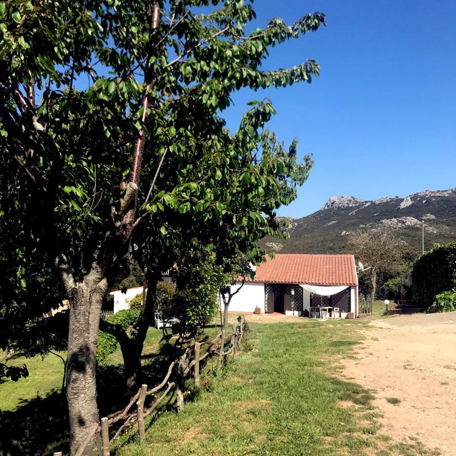 B&B La Tasgia Aggius Bagian luar foto