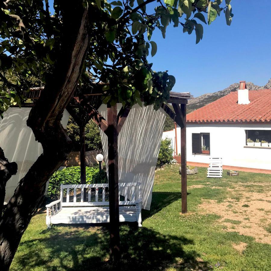B&B La Tasgia Aggius Bagian luar foto