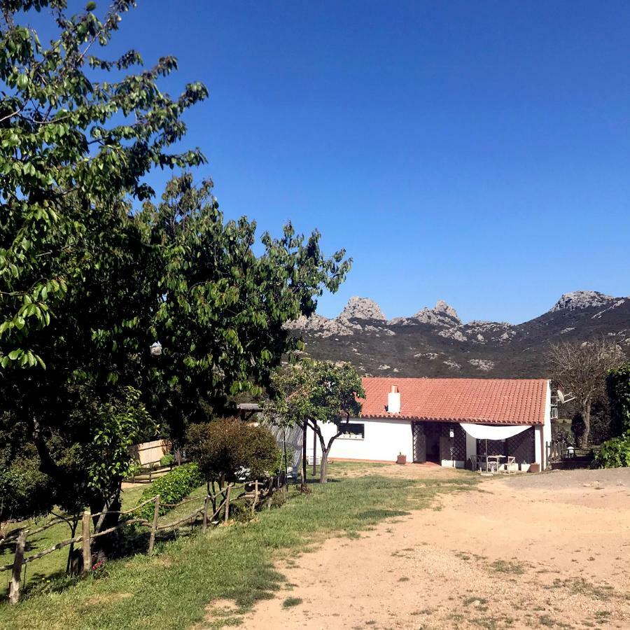B&B La Tasgia Aggius Bagian luar foto